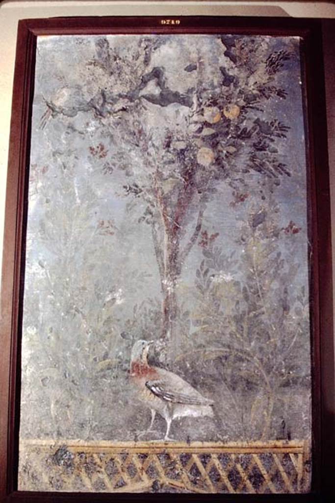 VI.17.9-11 Pompeii. 1978. Painting of bird standing on a trellis in a painted garden. 
Photo by Stanley A. Jashemski.   
Source: The Wilhelmina and Stanley A. Jashemski archive in the University of Maryland Library, Special Collections (See collection page) and made available under the Creative Commons Attribution-Non Commercial License v.4. See Licence and use details. J78f0367
Now in Naples Archaeological Museum, inventory number 9719.  According to Pagano and Prisciandaro, this was found on 30th June 1764 together with NAP 8760, also found in the same room may have been NAP 8741, 8723, 9705, 9822, and 8785.
See Pagano, M. and Prisciandaro, R., 2006. Studio sulle provenienze degli oggetti rinvenuti negli scavi borbonici del regno di Napoli.  Naples: Nicola Longobardi.  (p.46-7)