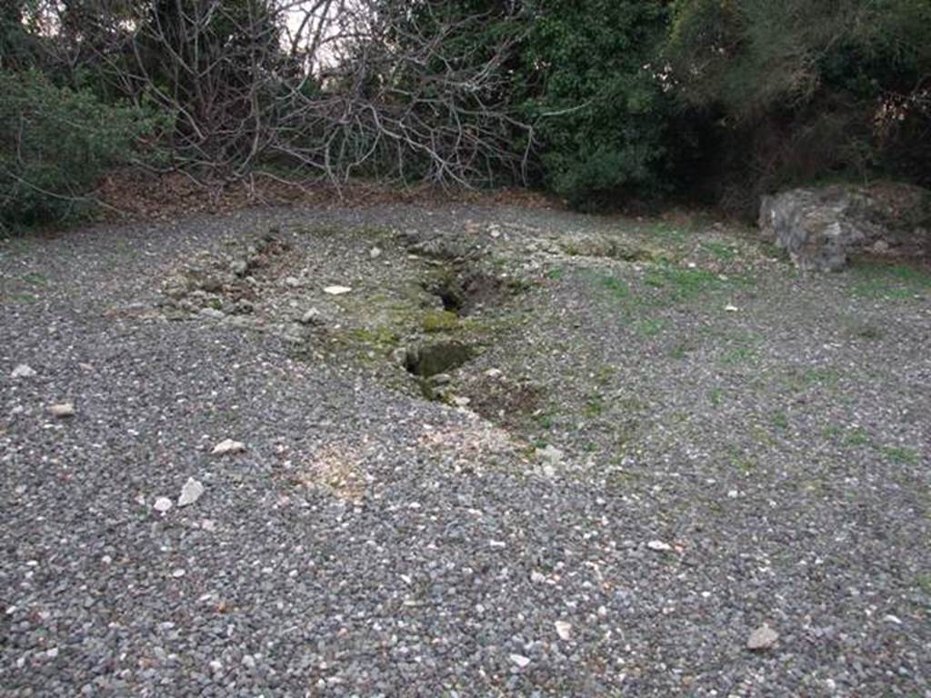 VI.17.10 Pompeii. December 2007. Atrium with remains of impluvium? According to Allroggen-Bedel, on La Vega’s plan, the atrium may have been room 5. The Ala, in the top right of the photo under the branches, may have been room 2.