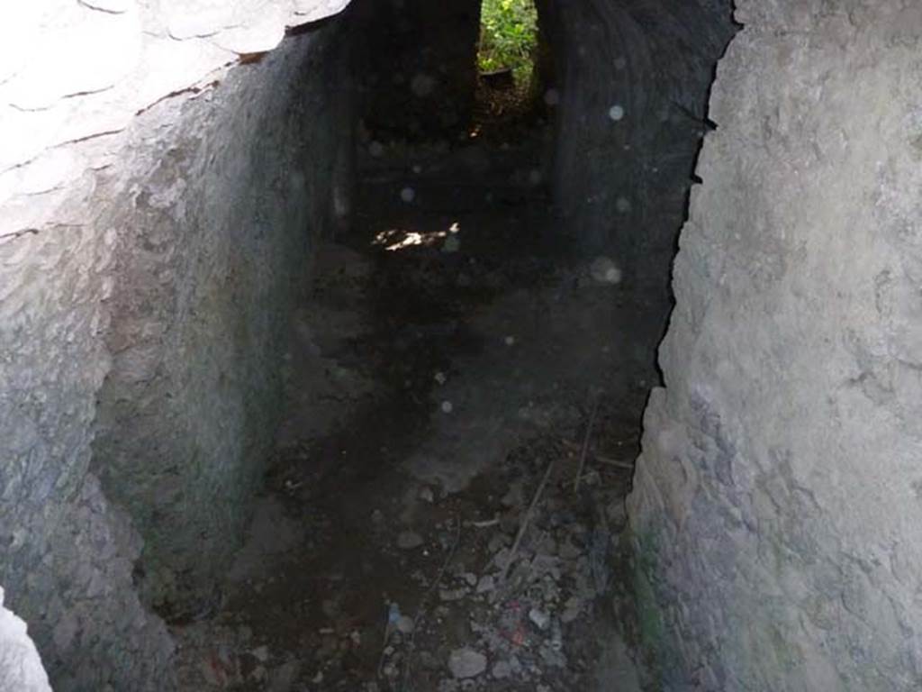 VI.17.14 Pompeii. September 2015. 
Looking west through cellar. This may have been a corridor/ramp/stairs leading to a lower level.