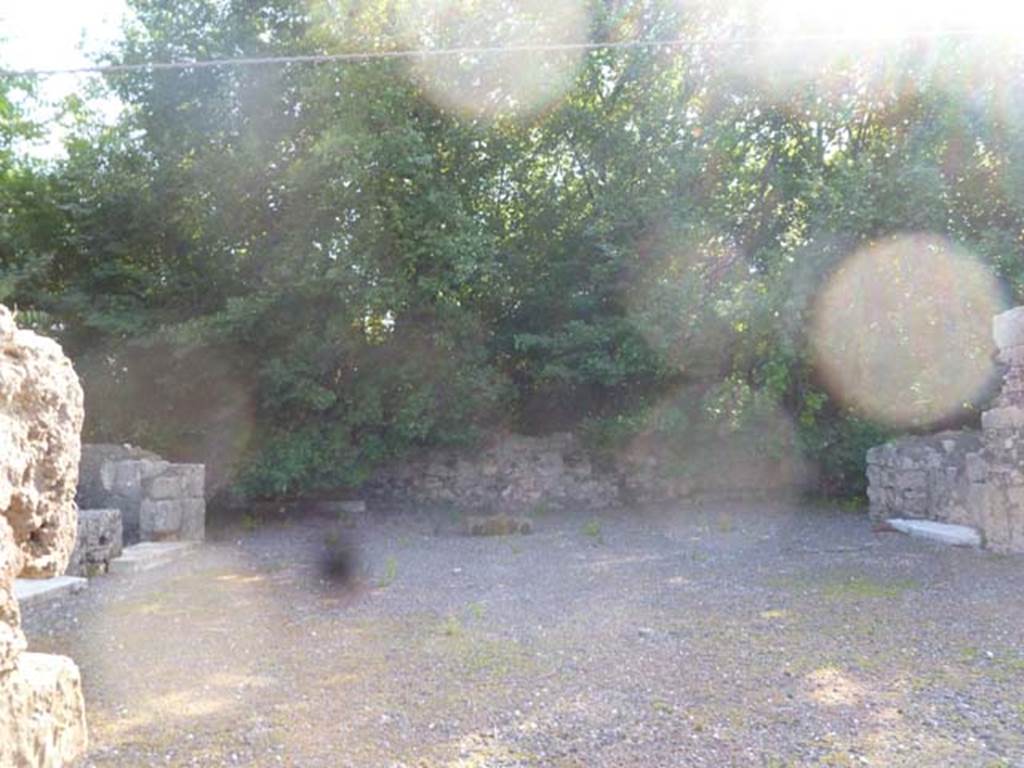 VI.17.17 Pompeii. May 2011. Looking towards west side of atrium, across site of impluvium (no longer visible). On either side of the atrium would have been an ala, at the rear on the left would have been a doorway leading to corridors and steps down to lower floor. In the centre of the rear wall (now blocked) would have been the tablinum (according to Fiorelli).
According to Eschebach, there was another blocked doorway leading to an oecus, and possibly a triclinium?. She says the tablinum, oecus and triclinium are no longer there.
See Eschebach, L., 1993. Gebäudeverzeichnis und Stadtplan der antiken Stadt Pompeji. Köln: Böhlau. (p.236)