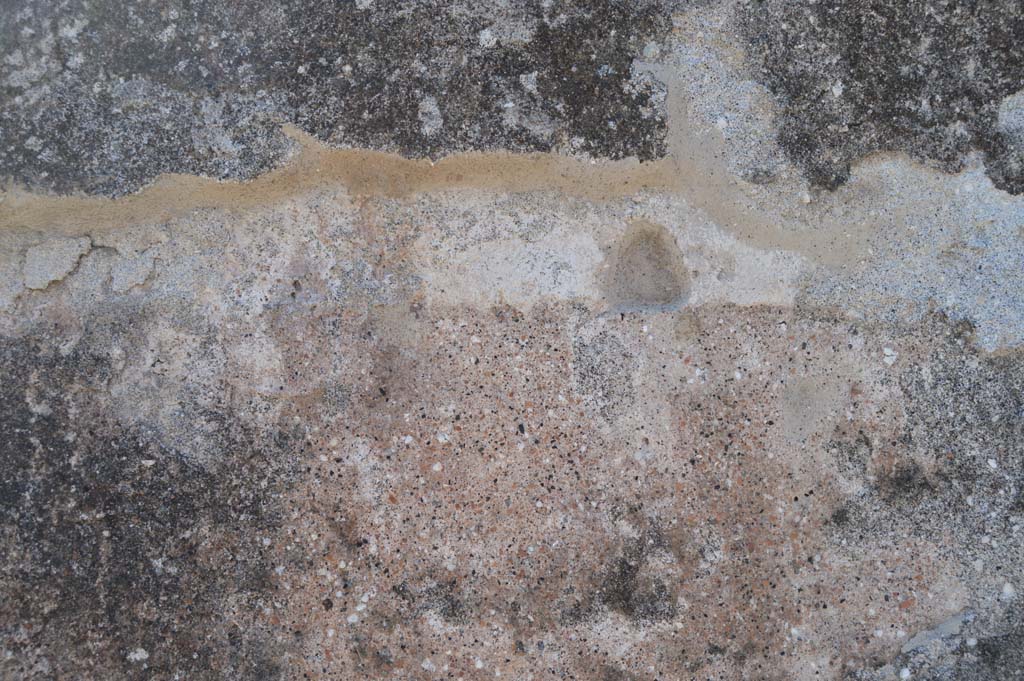 VI.17.32 Pompeii. March 2019. Detail from south side front façade.
Foto Taylor Lauritsen, ERC Grant 681269 DÉCOR.