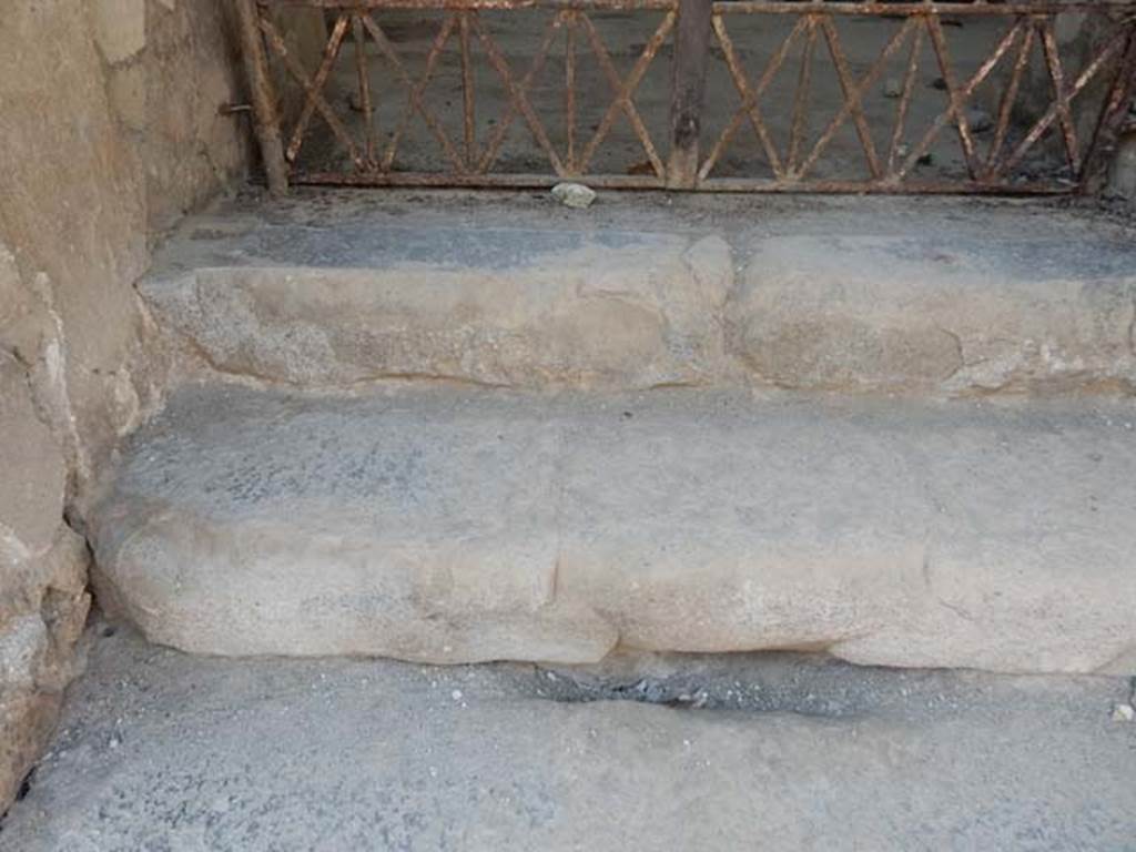 VI.17.41 Pompeii. May 2015. Detail of entrance steps. Photo courtesy of Buzz Ferebee.
