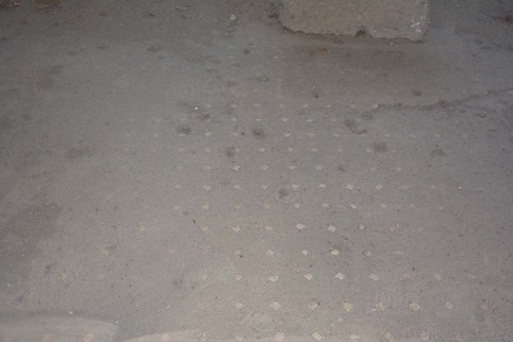 VI.17.41 Pompeii. September 2019. Detail of flooring in atrium at east end.
Foto Annette Haug, ERC Grant 681269 DÉCOR.