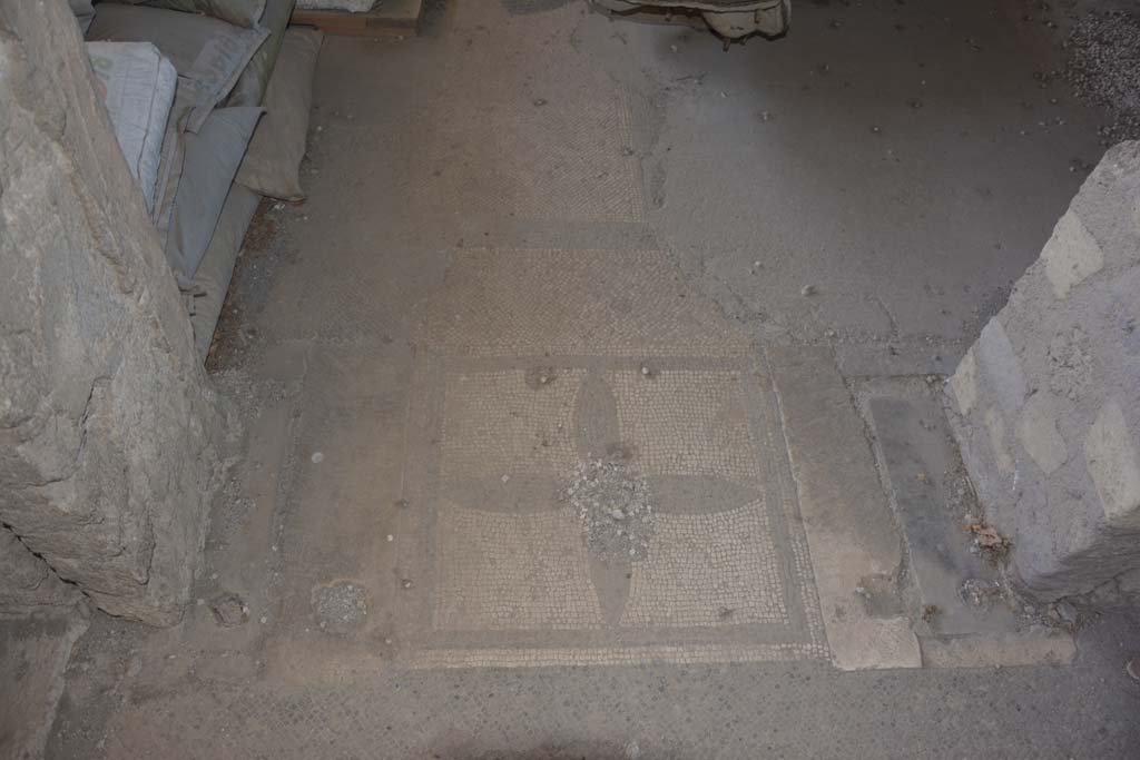VI.17.41 Pompeii. September 2019. Mosaic doorway threshold from atrium into triclinium.
Foto Annette Haug, ERC Grant 681269 DÉCOR.