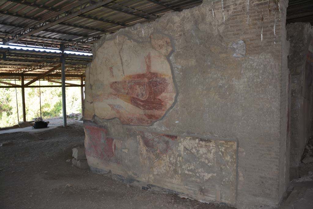 VI.17.41 Pompeii. September 2019. North wall of tablinum.
Foto Annette Haug, ERC Grant 681269 DÉCOR.