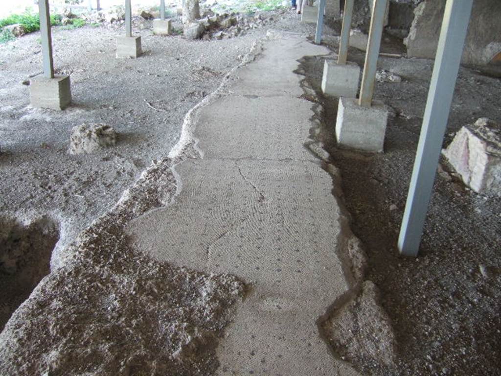 VI.17.41 Pompeii. May 2006. Looking north along mosaic floor on west side, possibly a terrace.