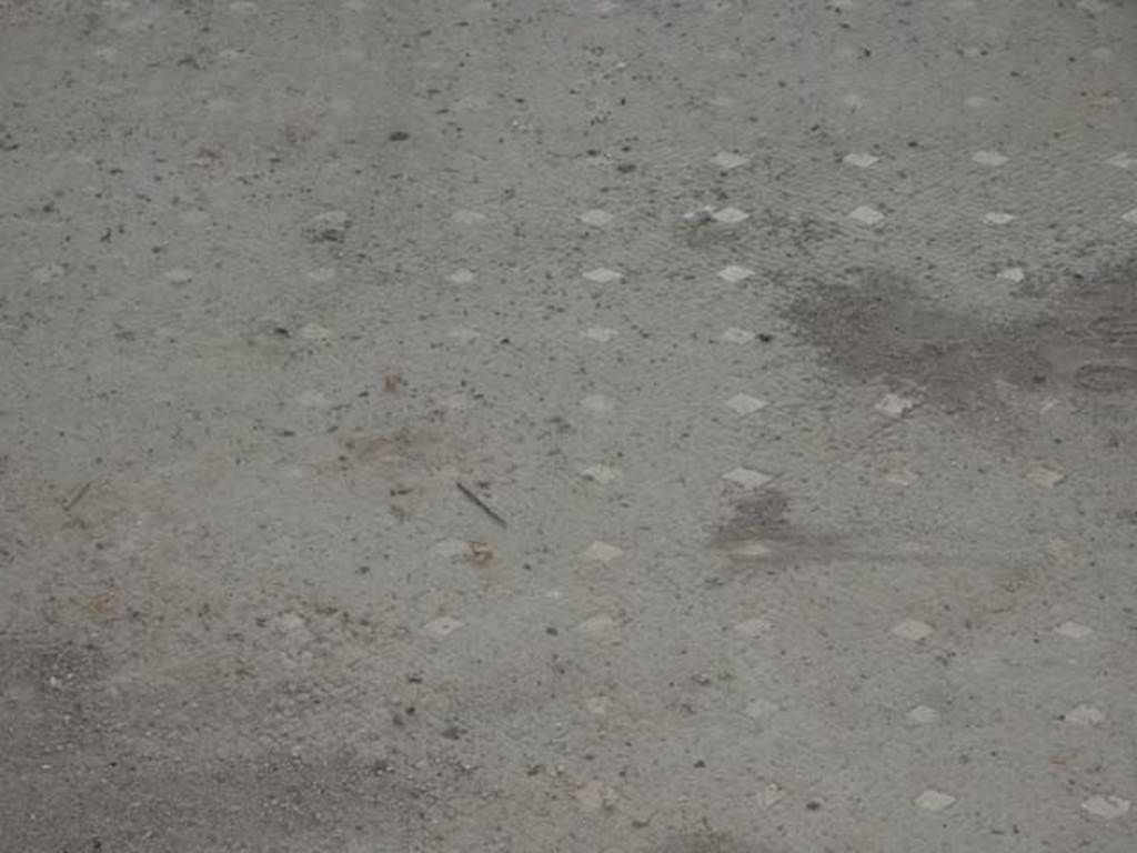 VI.17.41 Pompeii. May 2015. Flooring in atrium. Photo courtesy of Buzz Ferebee.