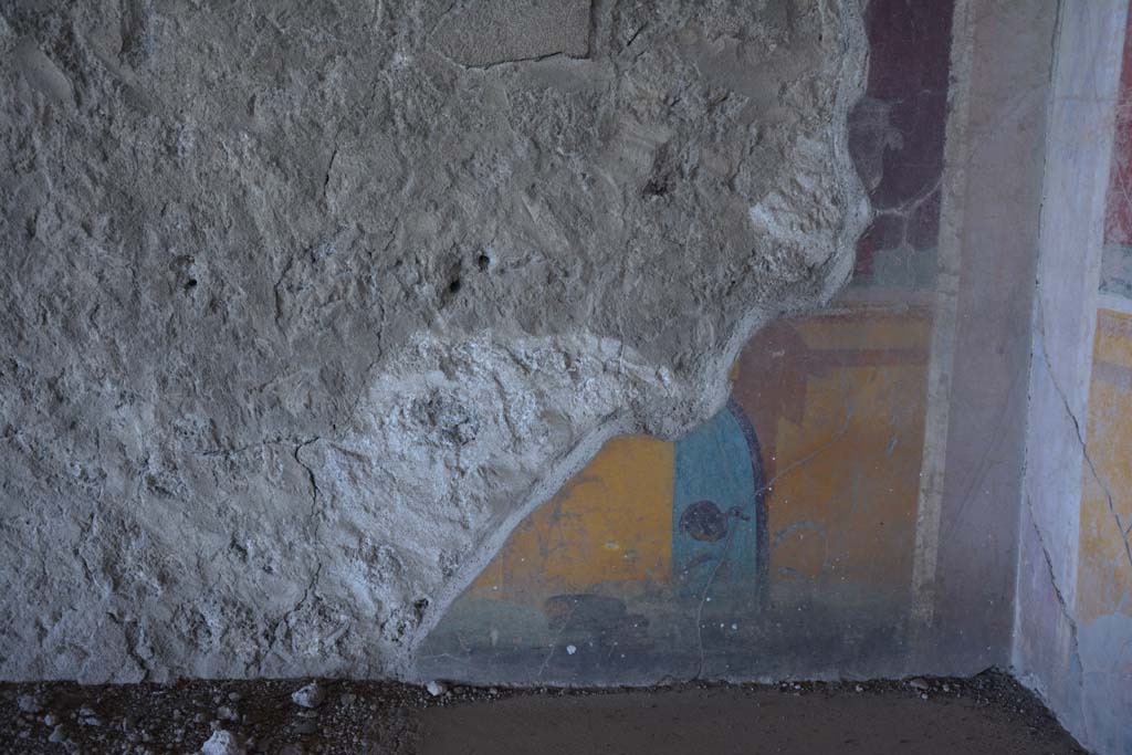 VI.17.41 Pompeii. September 2019. Cubiculum 17, detail from zoccolo of lower north wall in north-east corner.
Foto Annette Haug, ERC Grant 681269 DÉCOR.