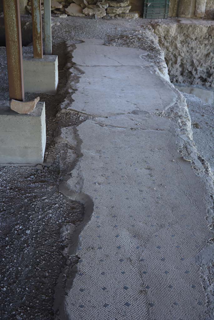 VI.17.41 Pompeii. September 2019. 
Looking south along flooring from portico on west side of rear rooms. 
Foto Annette Haug, ERC Grant 681269 DÉCOR.