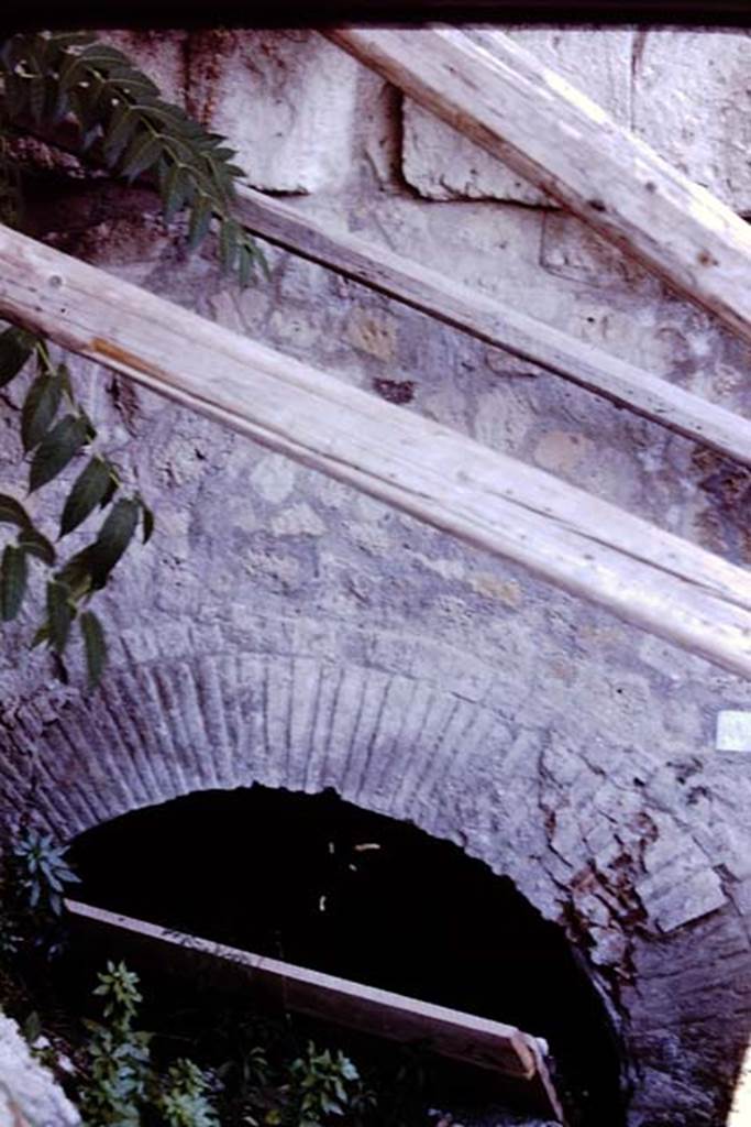 VI.17.41/42 Pompeii. 1980. Vaulted room at rear. Photo by Stanley A. Jashemski.   
Source: The Wilhelmina and Stanley A. Jashemski archive in the University of Maryland Library, Special Collections (See collection page) and made available under the Creative Commons Attribution-Non Commercial License v.4. See Licence and use details. J80f0214
