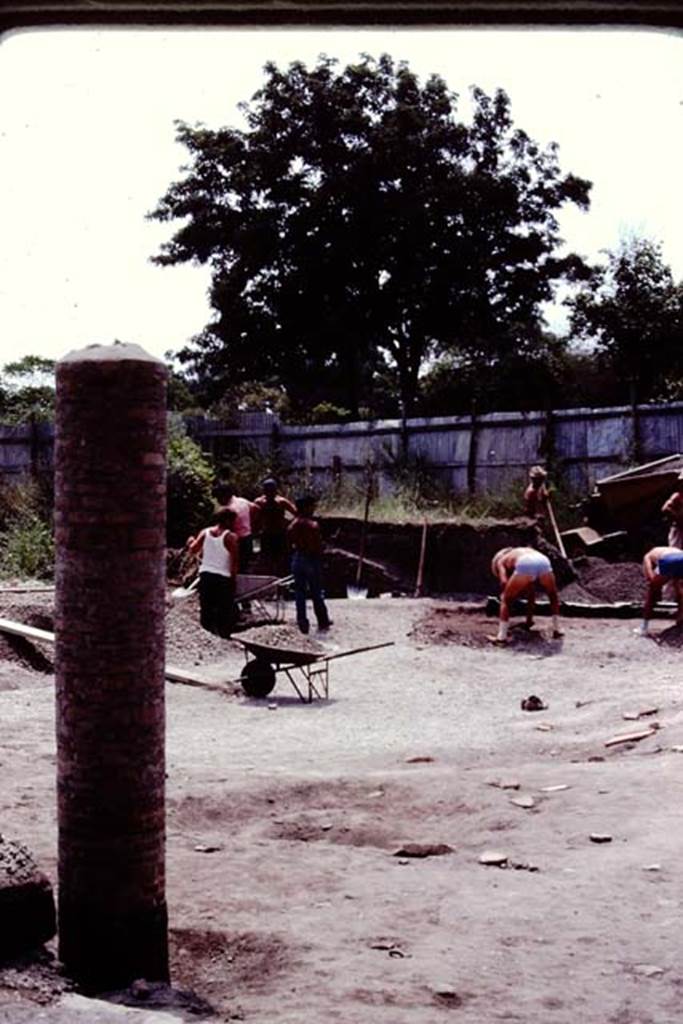 VI.17.42, Pompeii, 1983. Looking south-west towards rear of garden, during excavation. Photo by Sally Gladden.    
Source: The Wilhelmina and Stanley A. Jashemski archive in the University of Maryland Library, Special Collections (See collection page) and made available under the Creative Commons Attribution-Non Commercial License v.4. See Licence and use details. J80f0585
According to Wilhelmina, “At the west end of the garden was a slightly raised narrow bed, at the rear of which was a row of 28 small root cavities. The cavities along the south wall were badly damaged, but symmetry suggested that they were vines, and they covered each wall. The largest cavity in the garden, apparently that of a tree or perhaps an oleander, was in the south-west rectangular bed.”
See Jashemski, W.F., 2014. Discovering the Gardens of Pompeii: Memoirs of a Garden Archaeologist, (p.288)