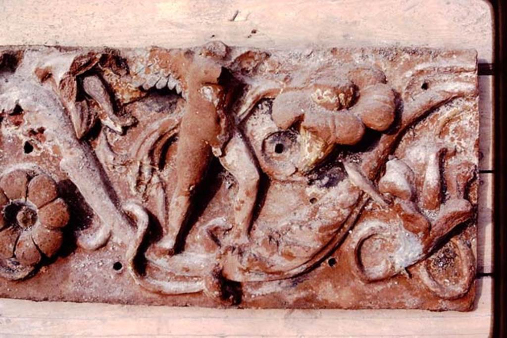VI.17.42, Pompeii, 1983. Detail of terracotta plaque. Photo by Sally Gladden.    
Source: The Wilhelmina and Stanley A. Jashemski archive in the University of Maryland Library, Special Collections (See collection page) and made available under the Creative Commons Attribution-Non Commercial License v.4. See Licence and use details. J80f0592