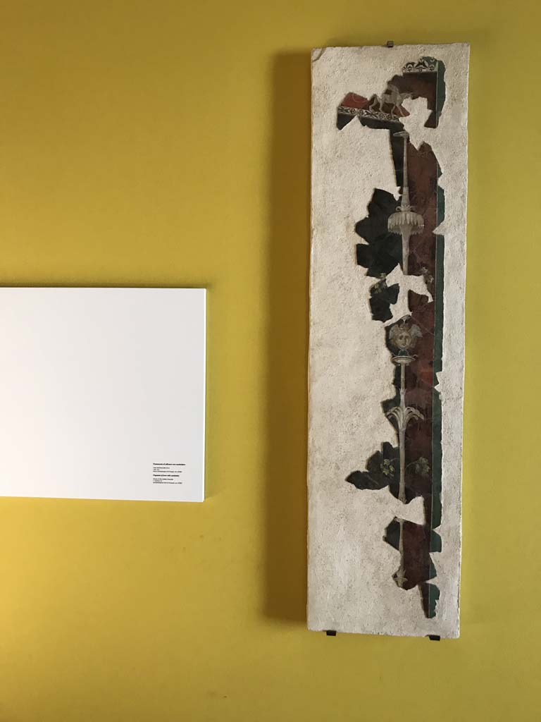 VI.17.42 Pompeii. April 2019. Photographed on display in Antiquarium.
III Style fragment of fresco with a candelabra, at the centre of which the head of Medusa is recognisable. 
This fragment was found in 1983, together with numerous others, in the garden area.
They were from a room damaged following the 62AD earthquake
See Aoyagi M. and Pappalardo U. et al, 2006. Pompei (Regiones VI-VII) Insula Occidentalis, I. Napoli: Valtrend. (p.222 and 248).
Photo courtesy of Rick Bauer.
According to PPM –
Many fragments were found in the garden area near to room 31, including a fragment of a predella (not photographed here but can be seen in PPM).
See Carratelli, G. P., 1990-2003. Pompei: Pitture e Mosaici: Vol. VI. Roma: Istituto della enciclopedia italiana, p.144, no.186 for photograph.
Kuivalainen describes this fragment (P 87280) –
“Hortus conclusus with green terrain, plants, and a white statue and a beast, in the foreground of a round yellow pavilion (tholos). The statue on the pedestal is of a standing youth with his weight on his right foot. Around his waist is a long cloak, on his head a wreath, in his down-stretched right hand he holds an object, probably a cantharus, and in his left arm he holds an upright thyrsus with a bunch upwards. On his right side by his feet stands a panther with his back to the viewer, with his head lifted towards the object. Garlands hang from the conical roof of the tholos.
Comments: A young almost naked Bacchus as a marble statue. Among remaining Pompeian marble statuary the youth is mainly presented naked. The position of the panther’s head indicates that the object in his master’s hand is a vessel for wine.”
See Kuivalainen, I., 2021. The Portrayal of Pompeian Bacchus. Commentationes Humanarum Litterarum 140. Helsinki: Finnish Society of Sciences and Letters, (p.112, C10).