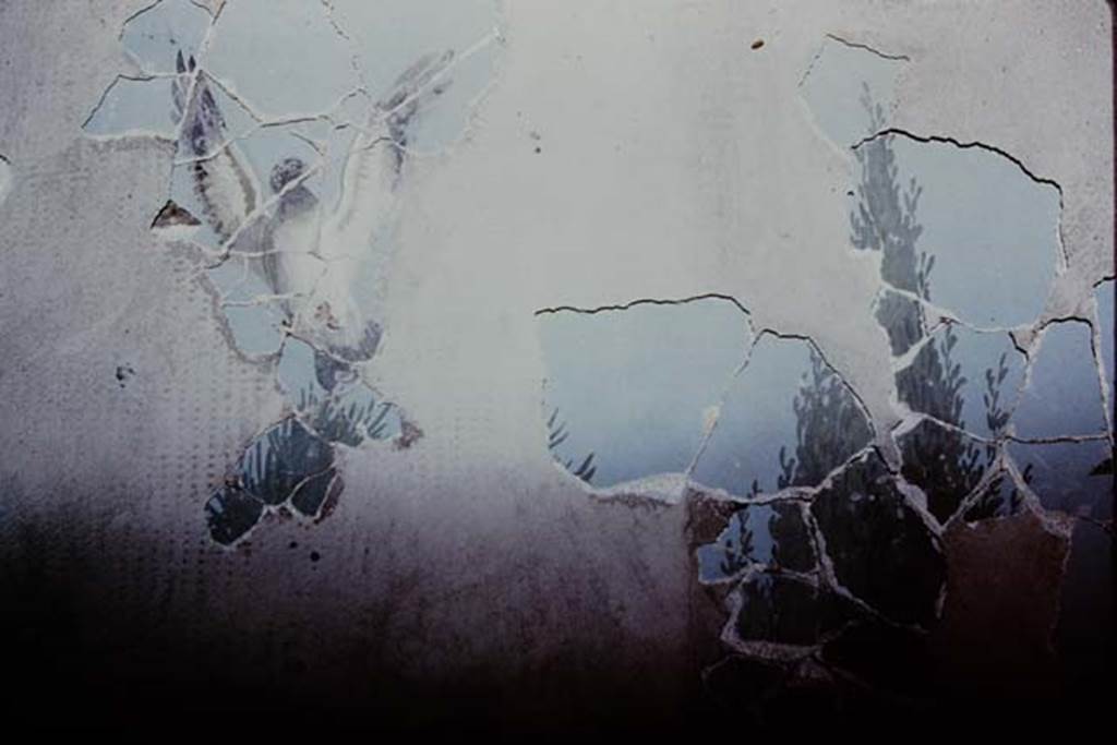 VI.17.42 Pompeii. 1980. Oecus 32. Part of garden fresco from south wall, during its reconstruction. Photo by Stanley A. Jashemski.   
Source: The Wilhelmina and Stanley A. Jashemski archive in the University of Maryland Library, Special Collections (See collection page) and made available under the Creative Commons Attribution-Non Commercial License v.4. See Licence and use details. J80f0197