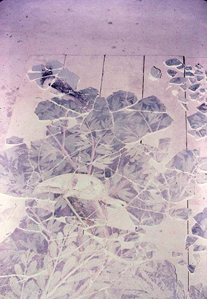 VI.17.42 Pompeii. 1980. Oecus 32. Part of garden fresco from south wall, during its reconstruction. 
Photo by Stanley A. Jashemski.
Source: The Wilhelmina and Stanley A. Jashemski archive in the University of Maryland Library, Special Collections (See collection page) and made available under the Creative Commons Attribution-Non Commercial License v.4. See Licence and use details.
J80f0204
