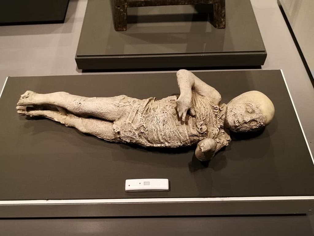 VI.17.42 Pompeii. 2019. Plaster cast of child found with other victims/family. 
On display in exhibition “Pompei e Santorini” in Rome, 2019. Photo courtesy of Giuseppe Ciaramella.