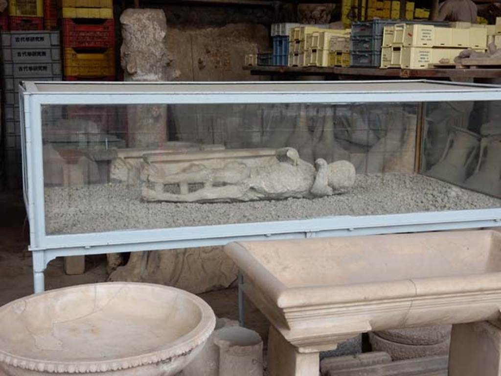 VI.17.42 Pompeii. May 2015. Plaster cast of child found with other victims of the eruption on display in VII.7.29 in the forum. 
Photo courtesy of Buzz Ferebee.