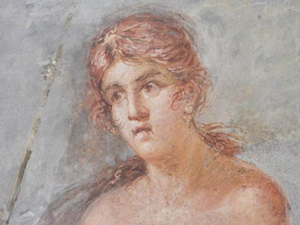 VI.17.42, Pompeii, May 2018. Triclinium 20, detail of Ariadne, from central painting on north wall. 
Photo courtesy of Buzz Ferebee.