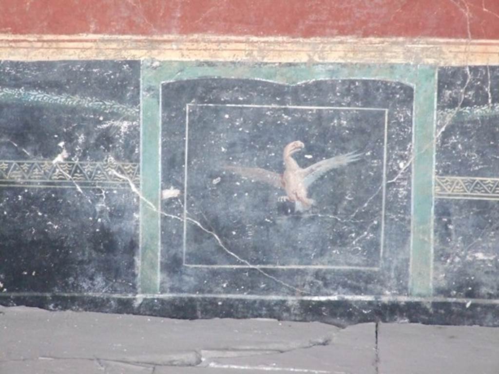 VI.17.42 Pompeii. December 2007. Triclinium 20 overlooking garden, 
Black painted zoccolo on east wall with painting of an eagle with wings spread.