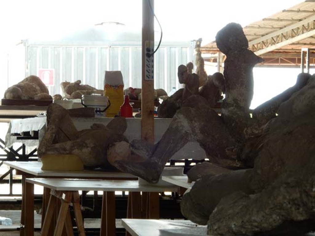 VI.17.42 Pompeii. May 2015. Preparation of body-casts. Photo courtesy of Buzz Ferebee.