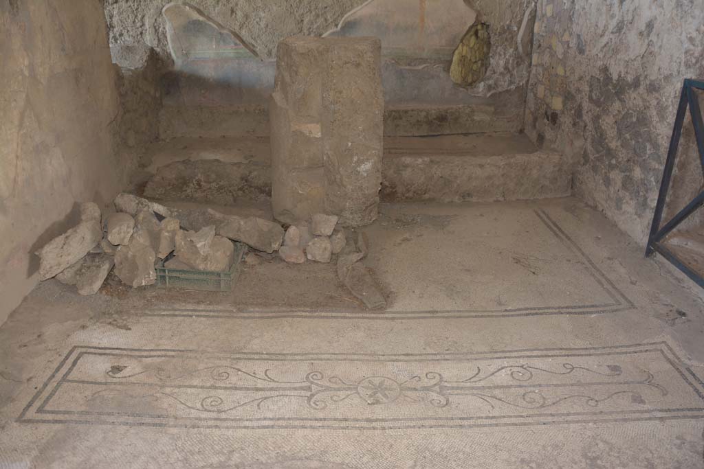 VI.17.42 Pompeii. September 2019. Ala 8, detail of mosaic threshold to doorway
Foto Annette Haug, ERC Grant 681269 DÉCOR.
According to PPM – 
“The right half of the mosaic threshold has been restored and has some differences in the termination of the rod that separates the shoots, understood as a branch with two divergent leaves. In the centre of the mosaic threshold is a six-petalled rosette inserted in a 
circle flanked by the shoots.”
See Carratelli, G. P., 1990-2003. Pompei: Pitture e Mosaici. VI (6). Roma: Istituto della enciclopedia italiana, (p. 57).