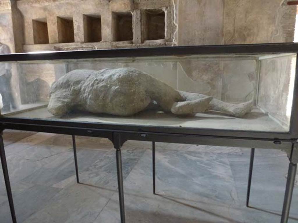 VII.1.8 Pompeii. June 2012. Rear of plaster cast of body, on display in men’s changing room 2. 
Found 25th September 1873 in garden area of I.5.3. Photo courtesy of Michael Binns.