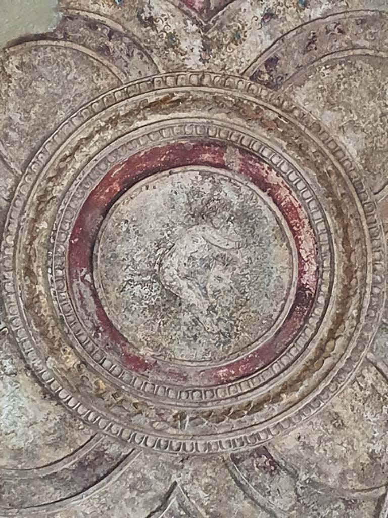 VII.1.8 Pompeii. July 2021. Detail of stucco from ceiling in vestibule 1.
Foto Annette Haug, ERC Grant 681269 DÉCOR