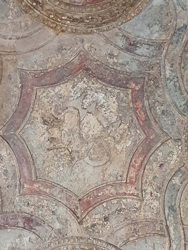 VII.1.8 Pompeii. July 2021. Detail of stucco from ceiling in vestibule 1.
Foto Annette Haug, ERC Grant 681269 DÉCOR