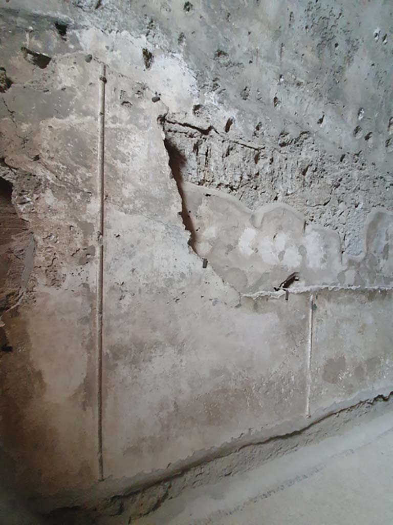 VII.1.8 Pompeii. July 2021. Tepidarium 10, detail from upper north wall.   
Foto Annette Haug, ERC Grant 681269 DÉCOR
