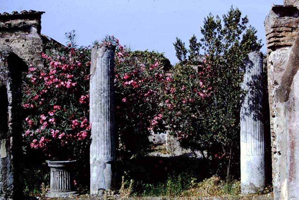 VII.1.25 Pompeii. 1966. Looking west from atrium 24 into peristyle 31.  Photo by Stanley A. Jashemski.
Source: The Wilhelmina and Stanley A. Jashemski archive in the University of Maryland Library, Special Collections (See collection page) and made available under the Creative Commons Attribution-Non-Commercial License v.4. See Licence and use details.
J66f0383