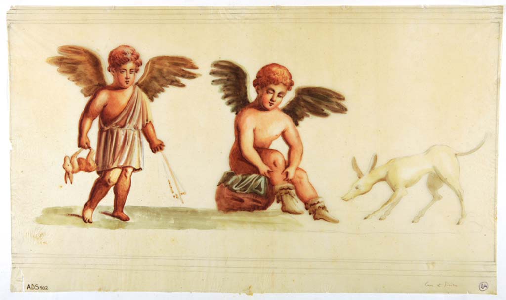 VII.1.25 Pompeii. Triclinium 32. Anonymous copy painting, of cupids and dog, returning from the hunt with a hare, part of IV Style decoration of room, but now all faded and disappeared.
Now in Naples Archaeological Museum. Inventory number ADS 502.
Photo © ICCD. http://www.catalogo.beniculturali.it
Utilizzabili alle condizioni della licenza Attribuzione - Non commerciale - Condividi allo stesso modo 2.5 Italia (CC BY-NC-SA 2.5 IT)
See Helbig, W., 1868. Wandgemälde der vom Vesuv verschütteten Städte Campaniens. Leipzig: Breitkopf und Härtel, (807).
According to PPM, these were seen in triclinium, room 34, not as room 32 here. 
See Carratelli, G. P., 1990-2003. Pompei: Pitture e Mosaici: Vol. VI. Roma: Istituto della enciclopedia italiana, p. 338.