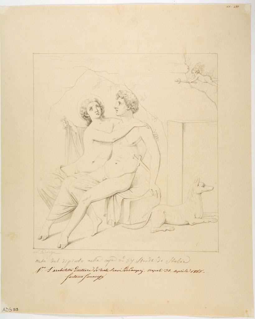 VII.1.25 Pompeii. Room 34, south wall. Drawing by Nicola La Volpe, of painting of Mars and Venus or Venus and Adonis.
The painting was left in situ and has now faded. 
Now in Naples Archaeological Museum. Inventory number ADS 513.
Photo © ICCD. http://www.catalogo.beniculturali.it
Utilizzabili alle condizioni della licenza Attribuzione - Non commerciale - Condividi allo stesso modo 2.5 Italia (CC BY-NC-SA 2.5 IT)
See Helbig, W., 1868. Wandgemälde der vom Vesuv verschütteten Städte Campaniens. Leipzig: Breitkopf und Härtel, (317).