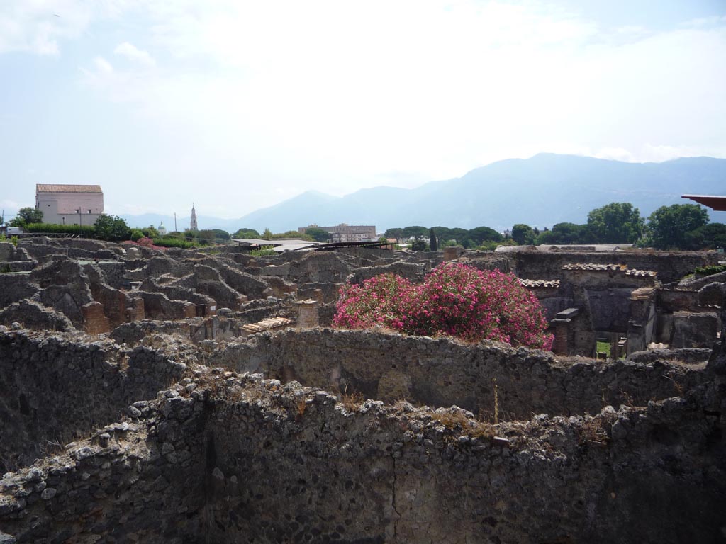 VII.1.36 Pompeii. October 2009. 
Looking south-east across Reg. VII Insula 1. The large pink oleander bush would be in VII.1.25. Photo courtesy of Jared Benton.