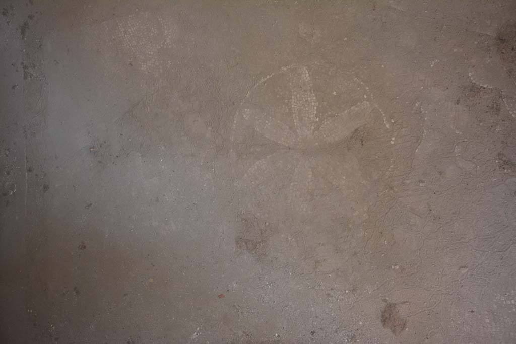 VII.1.40 Pompeii. September 2019. Tepidarium 15, flooring with 6-petalled flower in mosaic.  
Foto Annette Haug, ERC Grant 681269 DÉCOR.