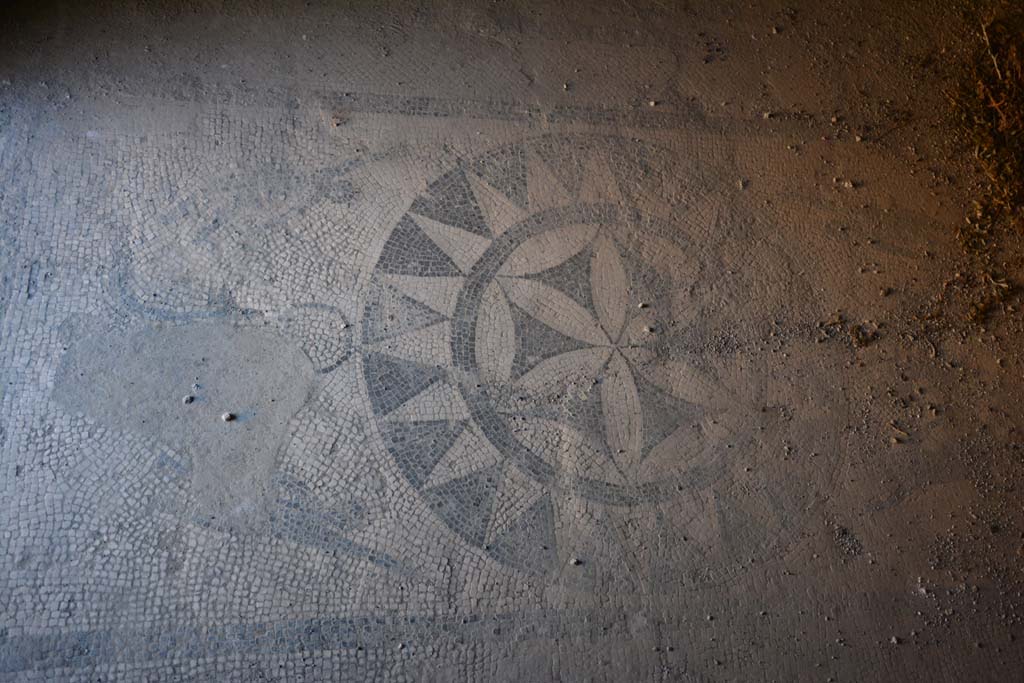 VII.1.40 Pompeii. September 2019. Caldarium 16, detail of mosaic flooring.
Foto Annette Haug, ERC Grant 681269 DÉCOR.