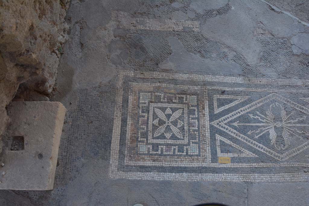 VII.1.40 Pompeii. September 2019. 
Tablinum 11, east end of doorway with black and white mosaic threshold with the use of polychrome tesserae.
Foto Annette Haug, ERC Grant 681269 DÉCOR.