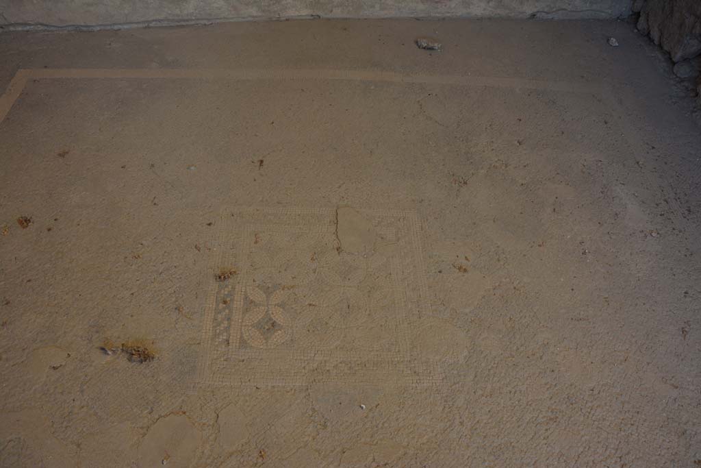 VII.1.40 Pompeii. September 2019. 
West ala 3a, looking west across flooring towards black and white mosaic of central emblema with joined together circles.
Foto Annette Haug, ERC Grant 681269 DÉCOR.