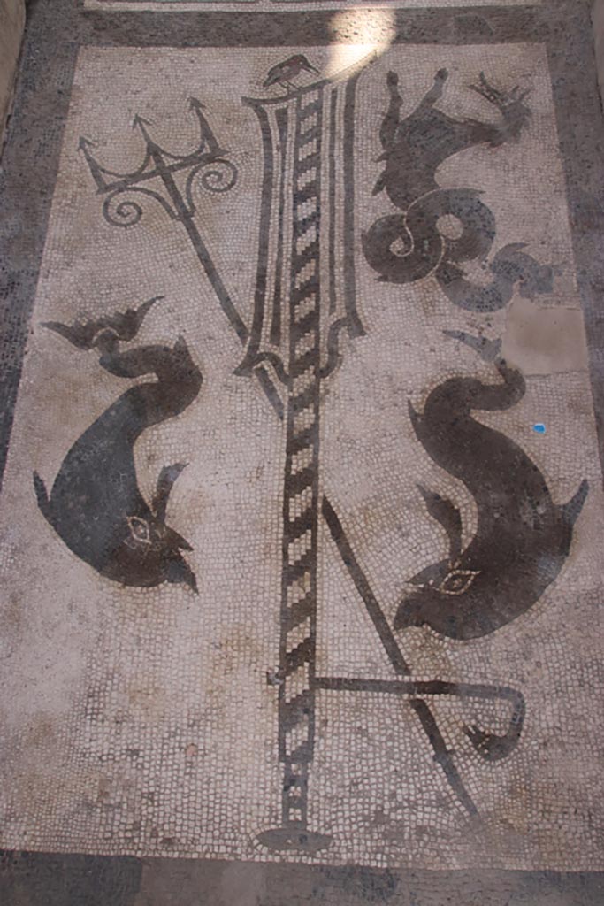 VII.1.40 Pompeii. October 2023.  
Black and white mosaic in entrance vestibule/corridor. Photo courtesy of Klaus Heese.