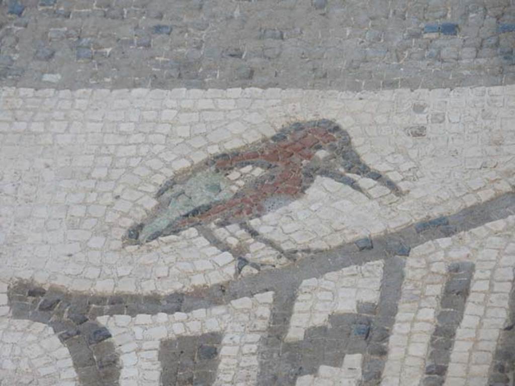VII.1.40 Pompeii. May 2017. Detail of bird using polychrome mosaic. Photo courtesy of Buzz Ferebee.
