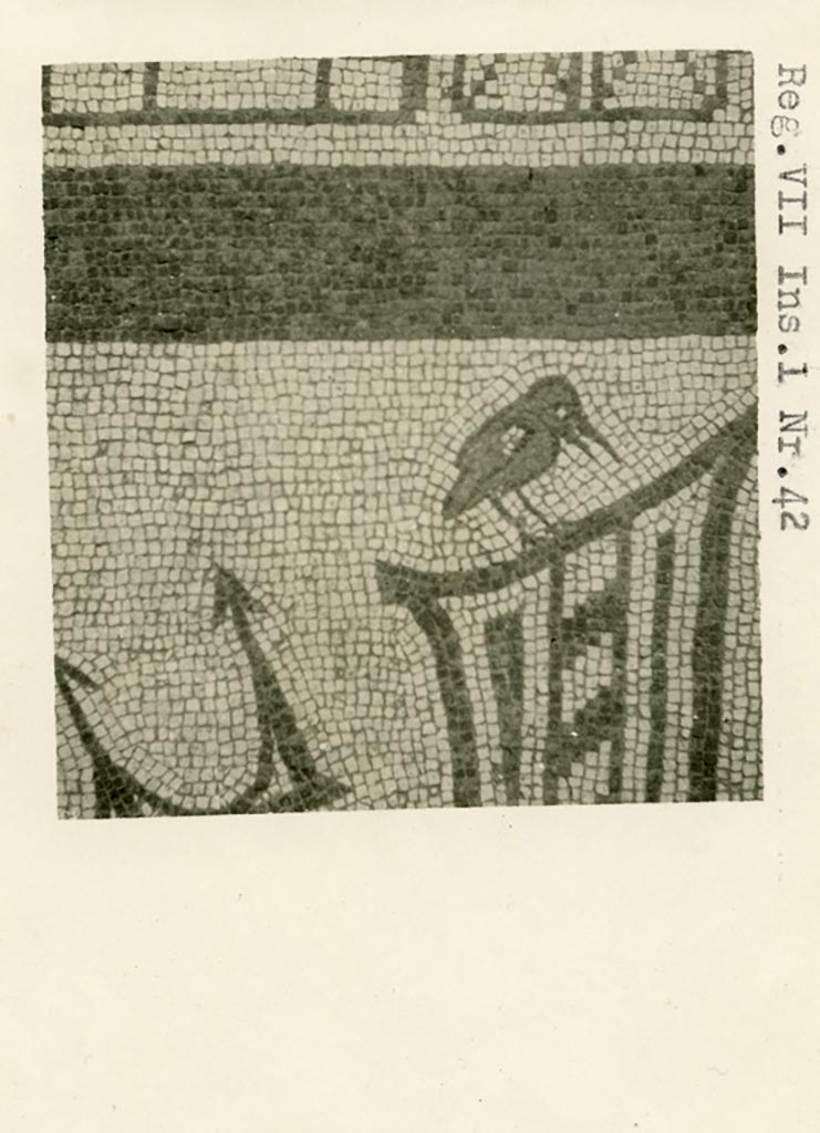 VII.1.40 or 42 Pompeii. Pre-1937-39. South end of mosaic, detail of bird.
Photo courtesy of American Academy in Rome, Photographic Archive. Warsher collection no. 303.