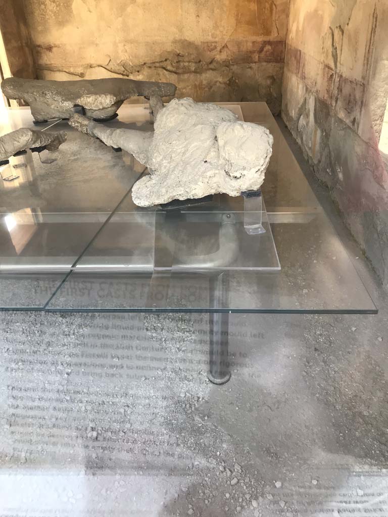 VII.1.47 Pompeii. April 2019. 
Room 8, looking towards west wall, north-west corner and north wall. 
Photo courtesy of Rick Bauer.
