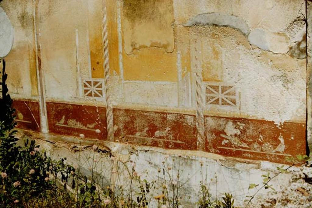 VII.1.47 Pompeii. 1957.  Painted wall decoration on wall in triclinium on north-east side of atrium. In the centre of the yellow panel, the painting would have been of the wounded Aeneas. Photo by Stanley A. Jashemski.
Source: The Wilhelmina and Stanley A. Jashemski archive in the University of Maryland Library, Special Collections (See collection page) and made available under the Creative Commons Attribution-Non Commercial License v.4. See Licence and use details.
J57f0123