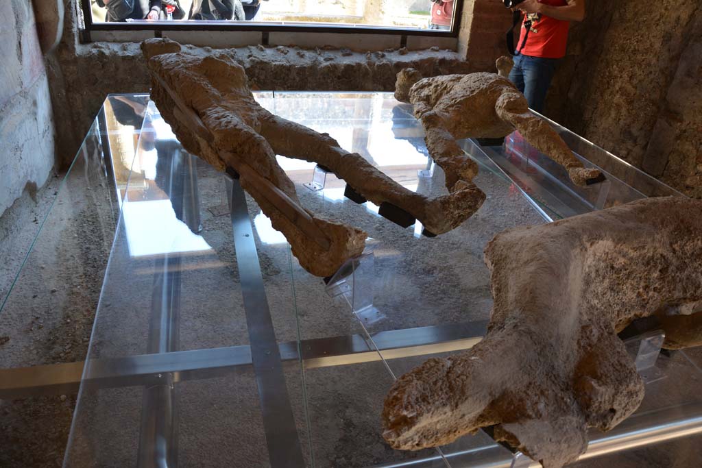 VII.1.47 Pompeii. March 2017. Room 8, looking across plaster-casts towards window in east wall.
 Photo courtesy Adrian Hielscher.