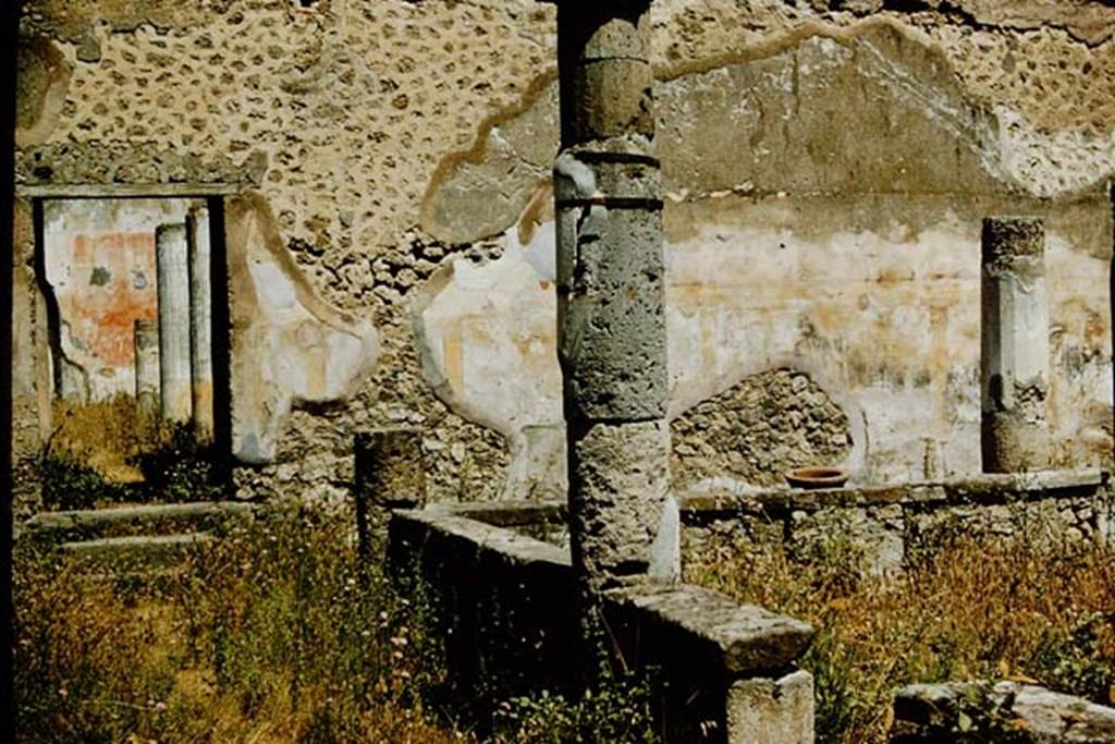 VII.1.47 Pompeii. 1957. Looking north from walled peristyle garden 19 towards steps leading to a second peristyle 31. 
Photo by Stanley A. Jashemski.
Source: The Wilhelmina and Stanley A. Jashemski archive in the University of Maryland Library, Special Collections (See collection page) and made available under the Creative Commons Attribution-Non-Commercial License v.4. See Licence and use details. 
J57f0126