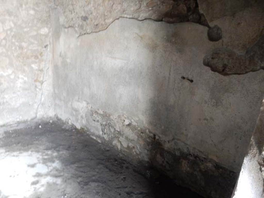 VII.1.47 Pompeii. May 2017. Room 20, looking towards south-west corner and west wall. 
The west wall would have had a central fourth style painting, but which was illegible when discovered.
Photo courtesy of Buzz Ferebee.