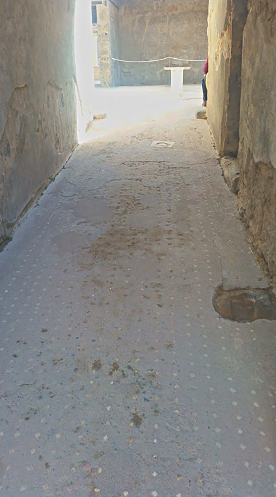 VII.1.47 Pompeii. May 2017. 
Looking east along flooring in entrance corridor. Photo courtesy of Giuseppe Ciaramella.