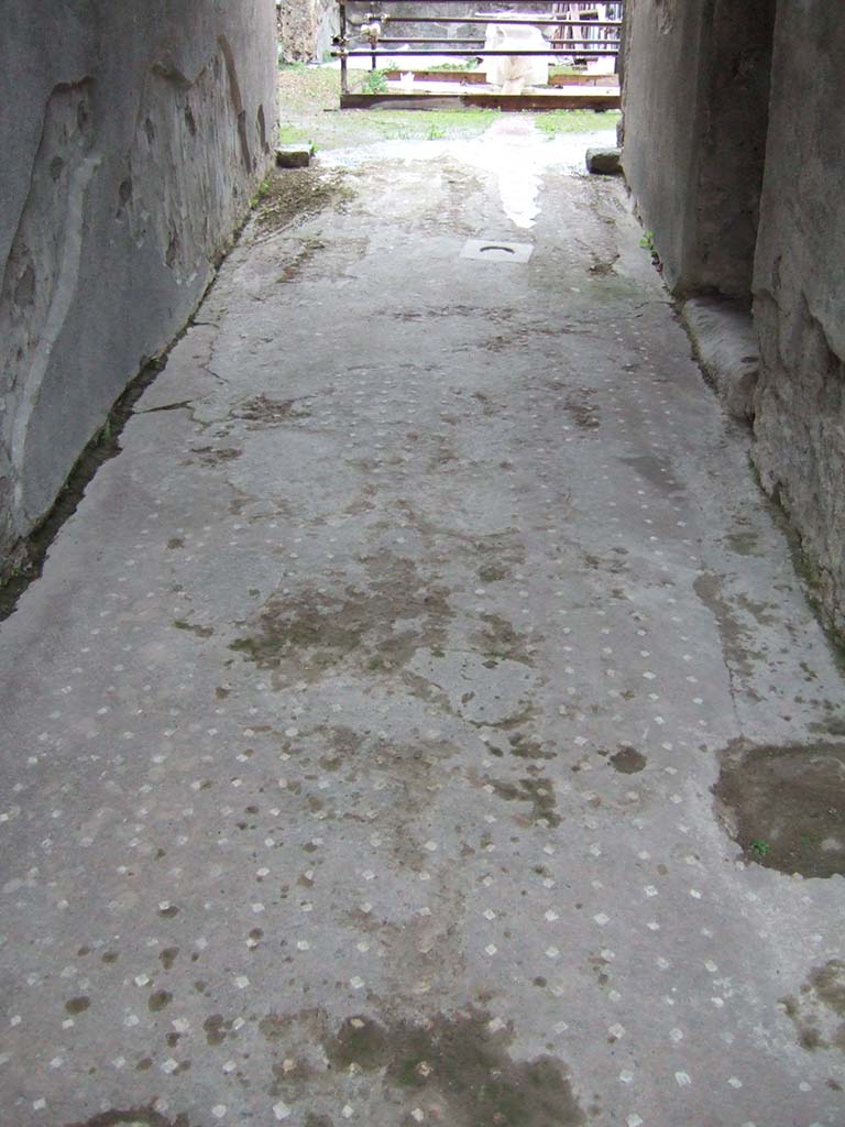 VII.1.47 Pompeii. December 2005. Entrance corridor or fauces 1.
According to Dyer
“This house, excavated in 1851, adjoins the Stabian Baths in the Vico del Lupanare, but has its principal entrance in the Strada Stabiana; from an inscription near which it derives its first name.  Its second name was taken from the mosaic inscription on the threshold of the atrium ‘Salve lucru’, with the customary omission of the “m”, meaning “Welcome, gain!” from which it has been inferred that the owner was engaged in trade, The house is a sort of double one, being connected with that called the House of the Russian Princes VII.1.25.
It is chiefly remarkable for its paintings, which are in a good state of preservation. 
The best of them are the three in the room called the Exedra.
The first of these represents Neptune and Apollo presiding over the building of the walls of Troy; 
In the second, Thetis presents herself to Vulcan to demand the arms of Achilles; 
In the third is depicted the drunken Hercules. 
The figures are about one-third of their natural size.”
See Dyer, T., 1867. The Ruins of Pompeii. London: Bell and Daldy. (p.81)