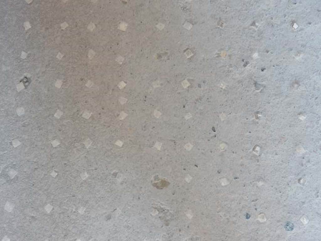 VII.1.47 Pompeii. May 2017. Detail of flooring in corridor 1. Photo courtesy of Buzz Ferebee.