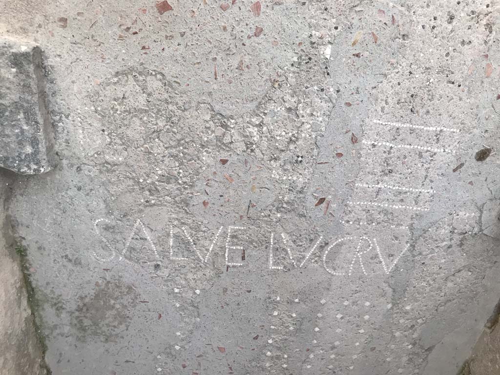 VII.1.47 Pompeii, April 2019. Entrance corridor 1 with mosaic of SALVE LVCRV set in flooring. 
Photo courtesy of Rick Bauer.