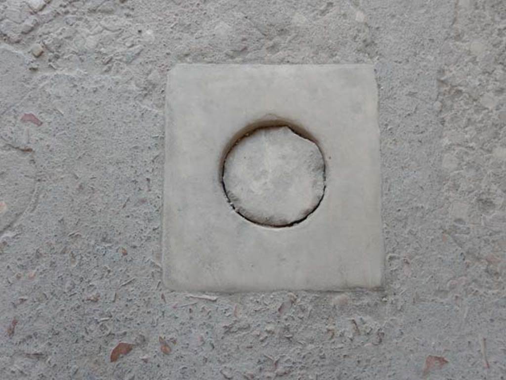 VII.1.47 Pompeii. May 2017. Detail in flooring in entrance corridor/fauces 1. 
Photo courtesy of Buzz Ferebee.